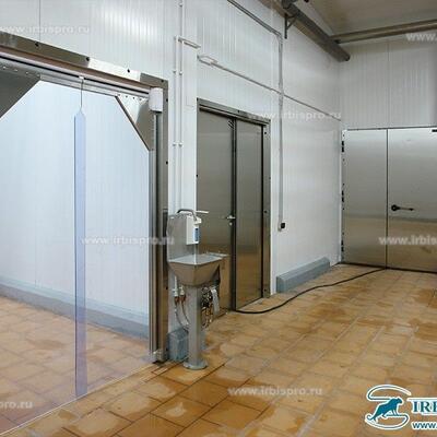 Пленочные маятниковые двери МД (Пл)