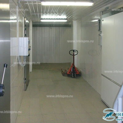 Распашные двери специального назначения РД (СН)